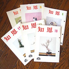 �m���\��