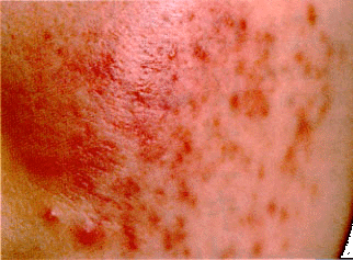 �Ԃ݂��c��������